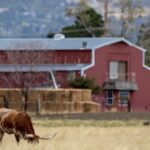 My Son’s Wife Tried To Sell My Ranch Until A Family Trust Proved Her Biggest Mistake